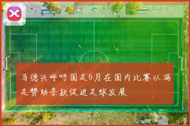 马德兴呼吁国足6月在国内比赛以满足赞助条款促进足球发展